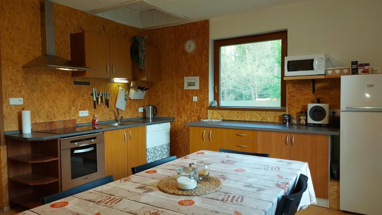 Apartmany Pod Lesem Rodvinov Екстер'єр фото